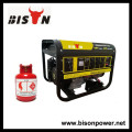 BISON (CHINA) Início Power Standby Preço de Fábrica Gerador LPG